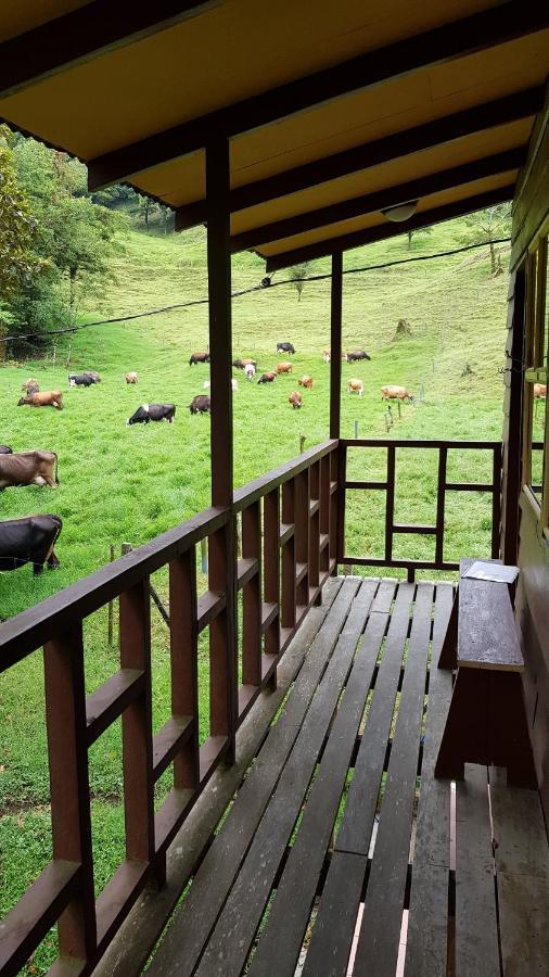 Finca Terra Viva Монте-Верде Экстерьер фото