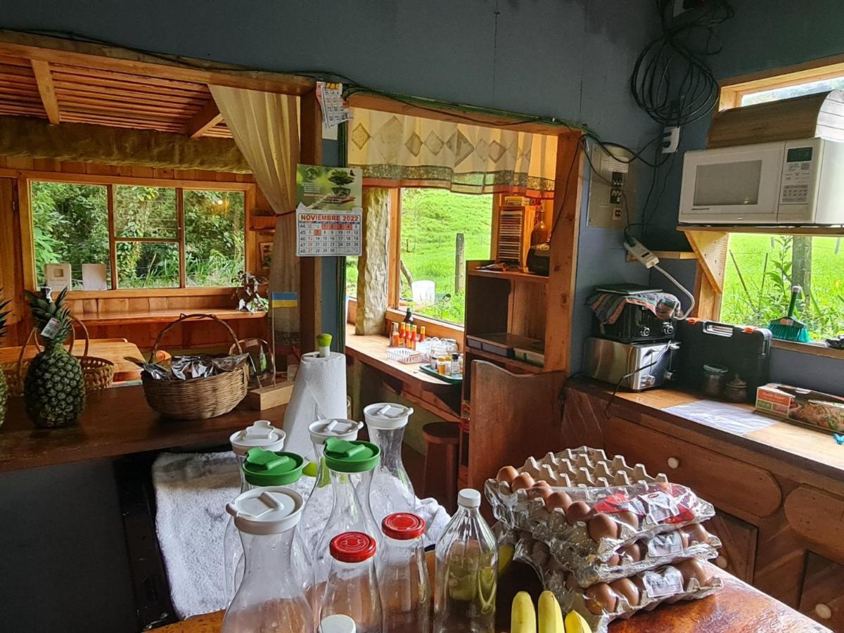 Finca Terra Viva Монте-Верде Экстерьер фото