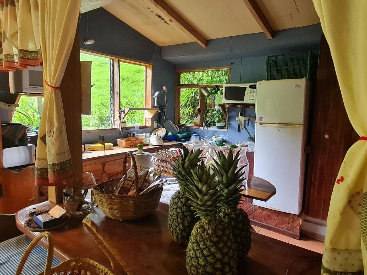 Finca Terra Viva Монте-Верде Экстерьер фото
