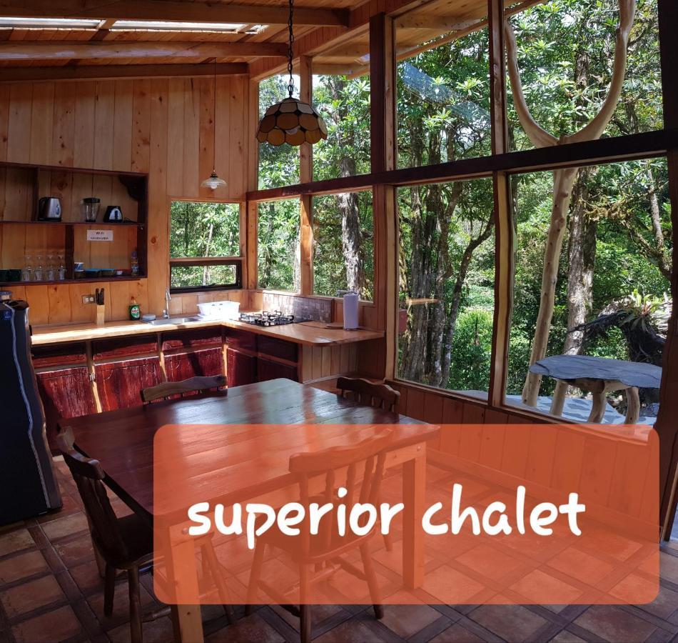 Finca Terra Viva Монте-Верде Экстерьер фото