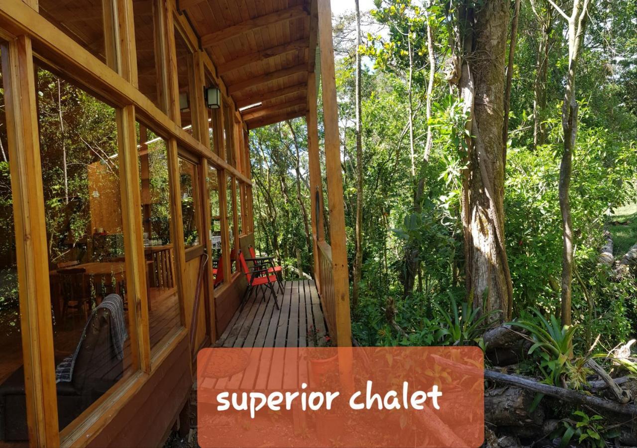 Finca Terra Viva Монте-Верде Экстерьер фото