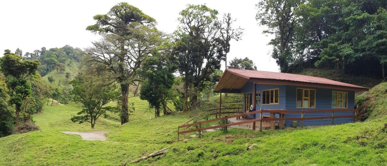 Finca Terra Viva Монте-Верде Экстерьер фото